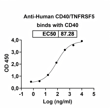 CD40/TNFRSF5 Human Monoclonal Antibody