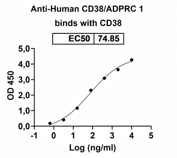 CD38/ADPRC 1 Human Monoclonal Antibody