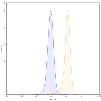 ASGR1 Human Monoclonal Antibody