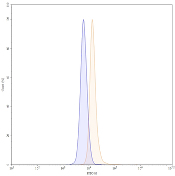 APP/Amyloid beta Human Monoclonal Antibody
