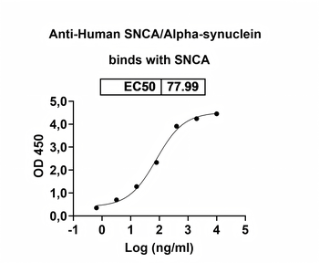 SNCA/Alpha-synuclein Human Monoclonal Antibody