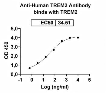 TREM2 Human Monoclonal Antibody