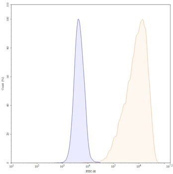 VSIR/VISTA Human Monoclonal Antibody