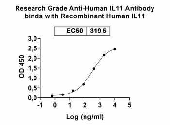 IL11 Human Monoclonal Antibody