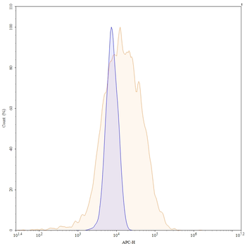 Human VEGF Reference Antibody (Bd0801, RUO)