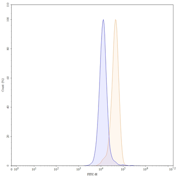 CD47/MER6 Human Monoclonal Antibody