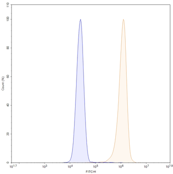 Ivonescimab Human Monoclonal Antibody