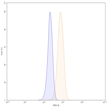 Ivonescimab Human Monoclonal Antibody