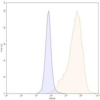 Tusamitamab Chimeric Monoclonal Antibody