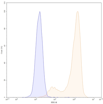 Tusamitamab Chimeric Monoclonal Antibody