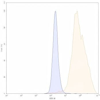 Amivantamab Biosimilar Antibody, Research Grade (EGFR/c-Met)