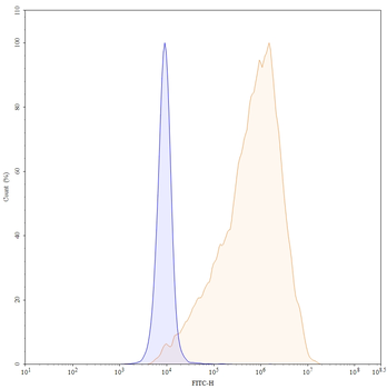 Enfortumab Human Monoclonal Antibody