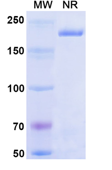 Ibalizumab Human Monoclonal Antibody