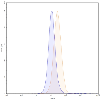 Brodalumab Human Monoclonal Antibody