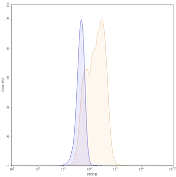 Certolizumab Human Monoclonal Antibody