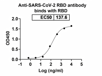 antibody Human Monoclonal Antibody