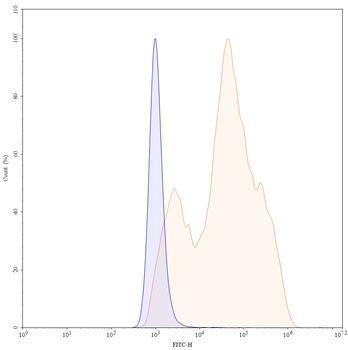 Mirvetuximab Chimeric Monoclonal Antibody