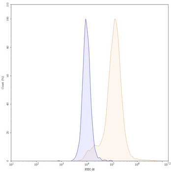 Lexatumumab Human Monoclonal Antibody