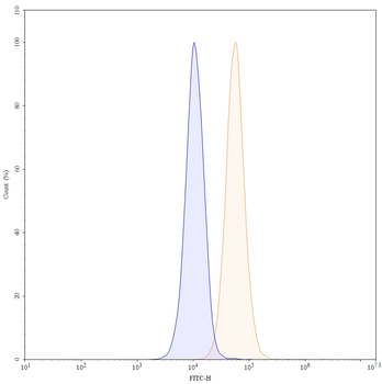 Dacetuzumab Human Monoclonal Antibody
