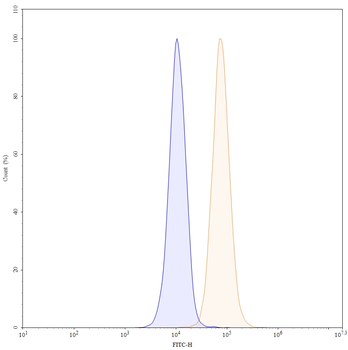 Lucatumumab Human Monoclonal Antibody