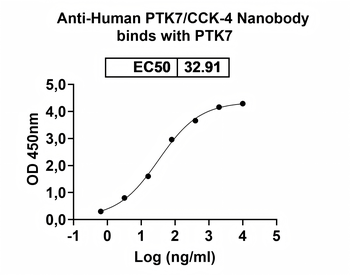Human PTK7/CCK-4 Nanobody Antibody