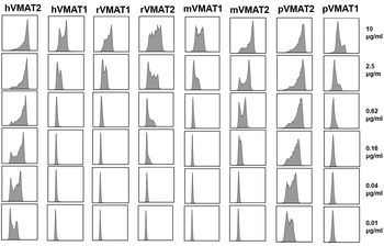 Human VMAT2 Antibody