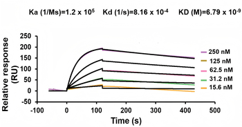 Human VMAT2 Antibody