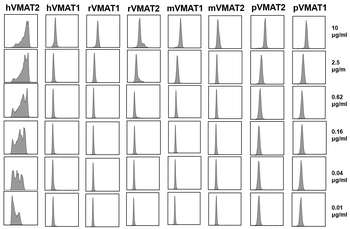 Human VMAT2 Antibody