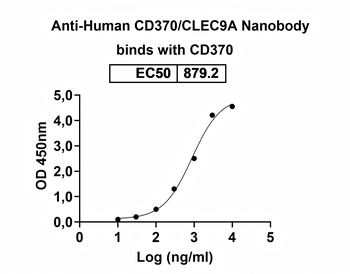 Human CD370/CLEC9A Nanobody Antibody