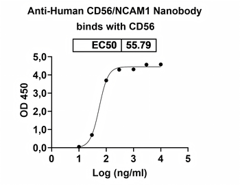 Human CD56/NCAM1 Nanobody Antibody