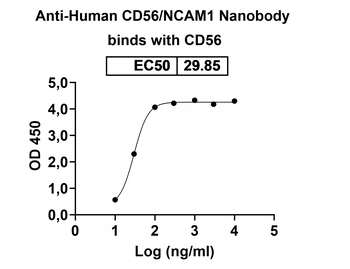Human CD56/NCAM1 Nanobody Antibody