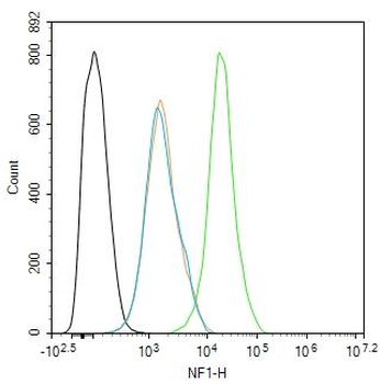 NF1 Rabbit Polyclonal Antibody