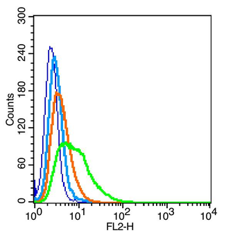ROM-K/Kcnj1 Rabbit Polyclonal Antibody