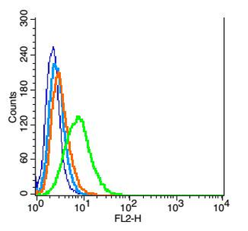 Kidins220 Rabbit Polyclonal Antibody