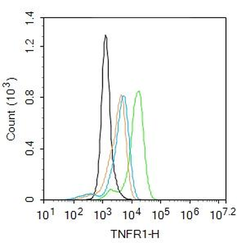 TNFR1 Rabbit Polyclonal Antibody
