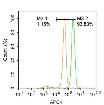 RNA polymerase II CTD repeat YSPTSPS (phospho S5) Rabbit Polyclonal Antibody
