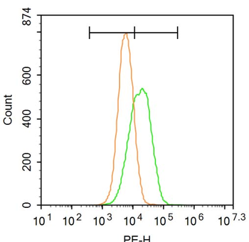 ADAM23 Rabbit Polyclonal Antibody