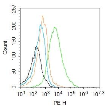 Desmocollin 2 + 3 Rabbit Polyclonal Antibody