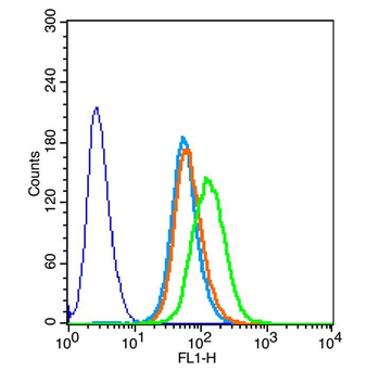 Beta Amyloid 1-42 Rabbit Polyclonal Antibody