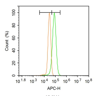 RRBP1 Rabbit Polyclonal Antibody
