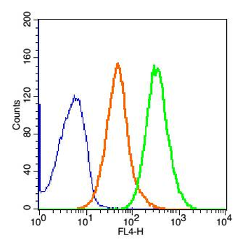 PRAME Rabbit Polyclonal Antibody