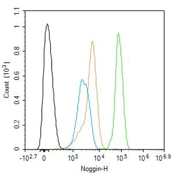 Noggin Rabbit Polyclonal Antibody