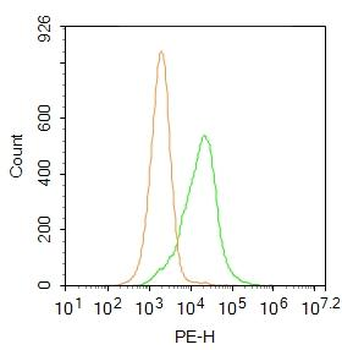 RAB35 Rabbit Polyclonal Antibody