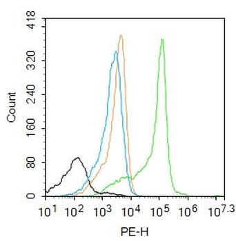 S100A7 Rabbit Polyclonal Antibody