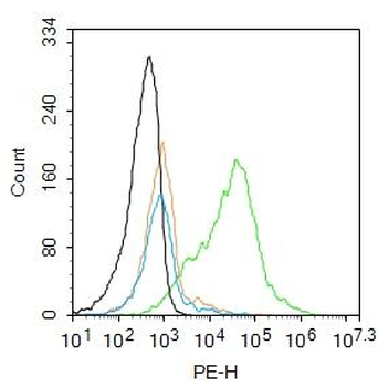 MNAT1 Rabbit Polyclonal Antibody