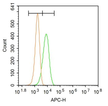 AQP3 Rabbit Polyclonal Antibody