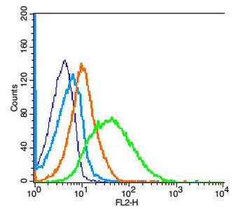 A4GALT Rabbit Polyclonal Antibody