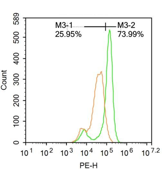 Anillin Rabbit Polyclonal Antibody