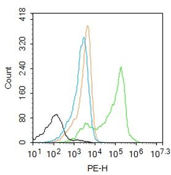 S100A7 Rabbit Polyclonal Antibody