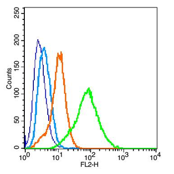 EpCAM Rabbit Polyclonal Antibody